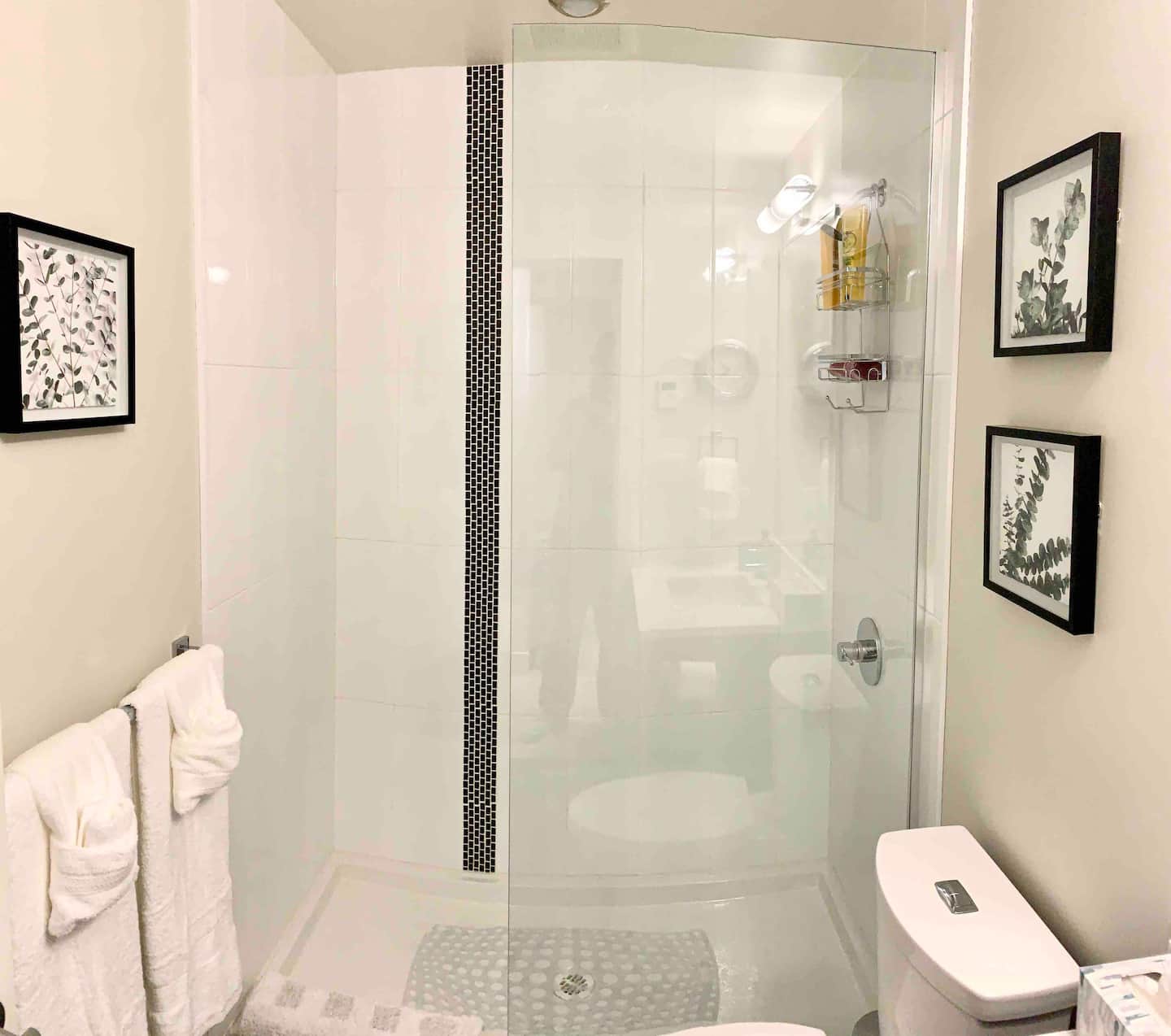 Vibrant Victoria: 1BR Condo in Downtown Hub 10