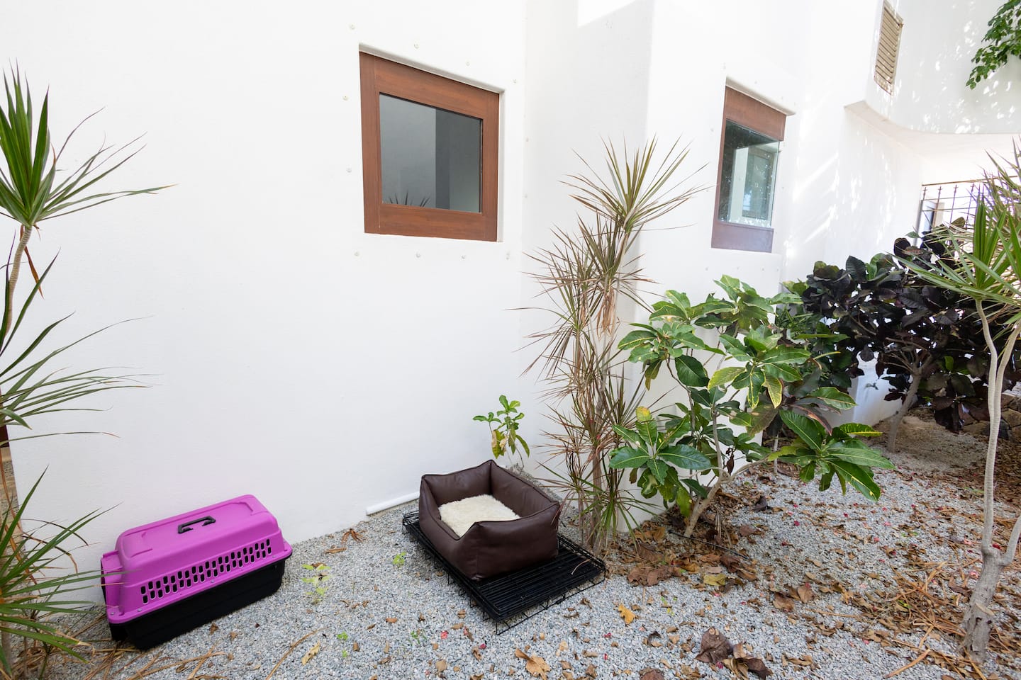 Casa Colina 51